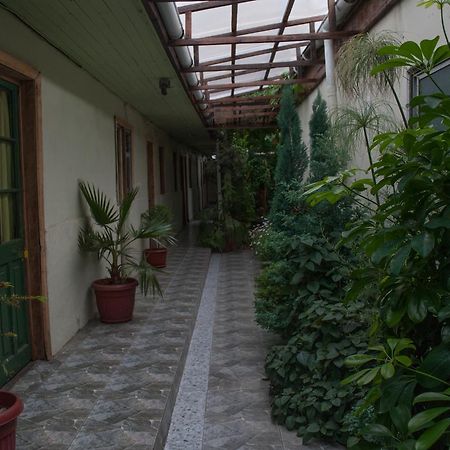 Hostel 1760 Talca  Luaran gambar